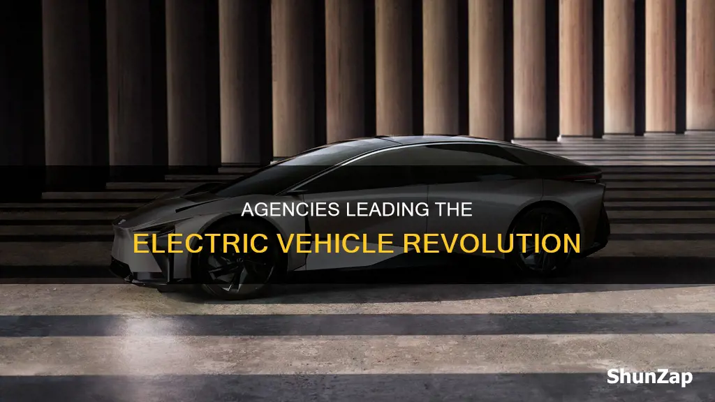 what government agencies deal with electric vehicles