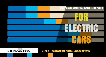 Unlocking Savings: Government Incentives for Electric Car Buyers Explained
