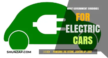 Unlocking Green Savings: Government Subsidies for Electric Cars Explained