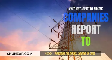 Unraveling the Web: Who Electric Companies Report To