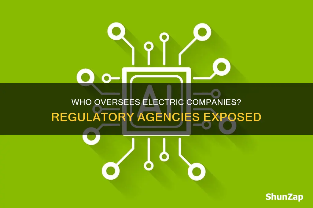 what govt agency do electric companies report to