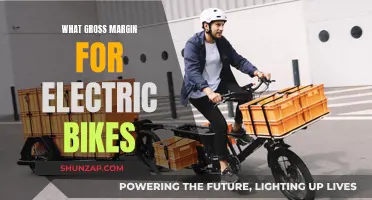 Electric Bike Economics: Understanding Gross Margins