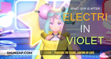 Exploring the Gym Leaders: Electric to Violet