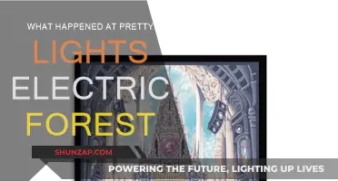 Pretty Lights Electrifies Electric Forest