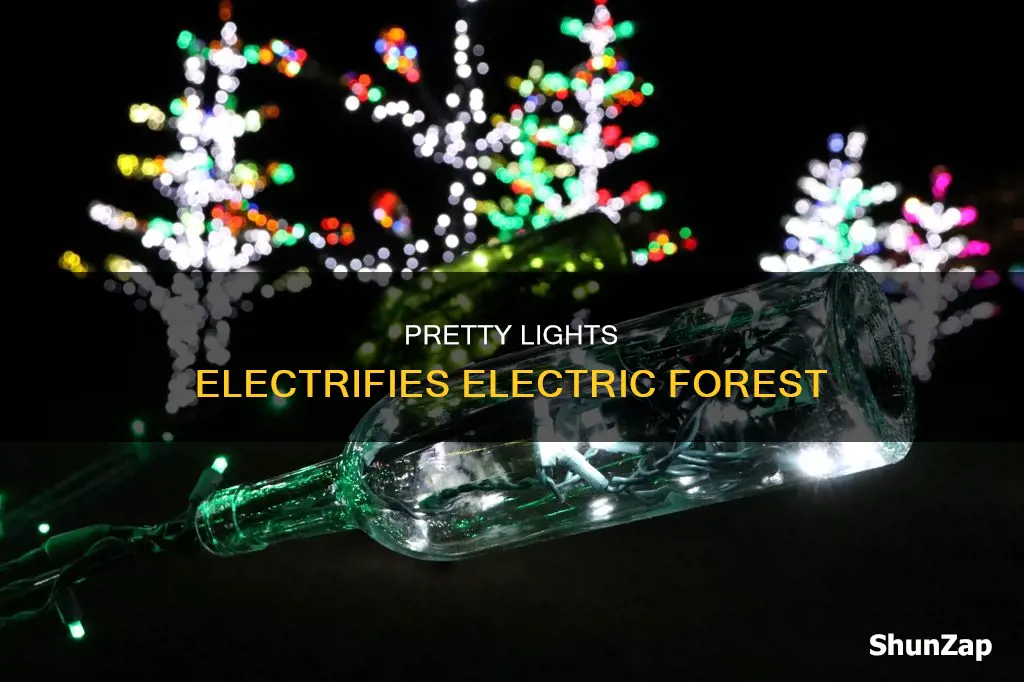 what happened at pretty lights electric forest