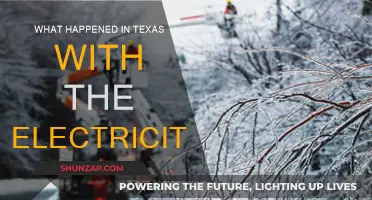 Texas Electricity Crisis: What Went Wrong?