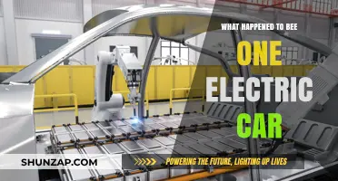 The Rise and Fall of Bee One Electric Car: What Happened?