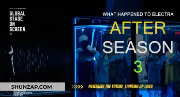 Electra's Future: What Comes After Season 3?