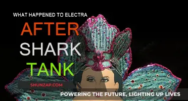 Electra's Shark Tank Journey: Success or Failure?