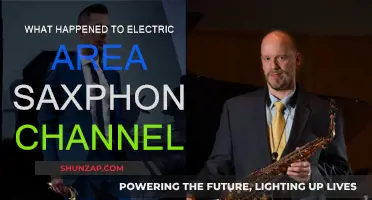 The Mysterious Disappearance of Electric Area's Sax Channel