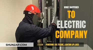 Electric Company's Evolution: From Powerhouse to Modern Energy Innovator