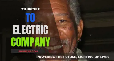 Electric Company: Where Did It All Go Wrong?