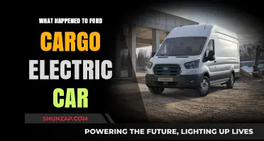 Ford Cargo Electric Car: What Happened to the Innovative Project?