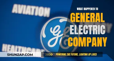 The Rise and Fall of General Electric Company