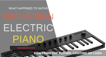 Native Instruments Electric Piano: What's the Deal?