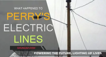The Mystery of Perry's Electric Lines: What Went Wrong?