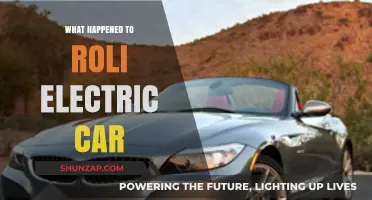 The Rise and Fall of Roli Electric Car: What Went Wrong?