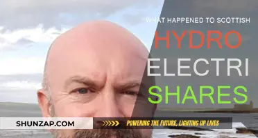 Scottish Hydro Electric Shares: What Happened?