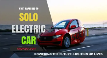 The Rise and Fall of Solo Electric Car: What Went Wrong?