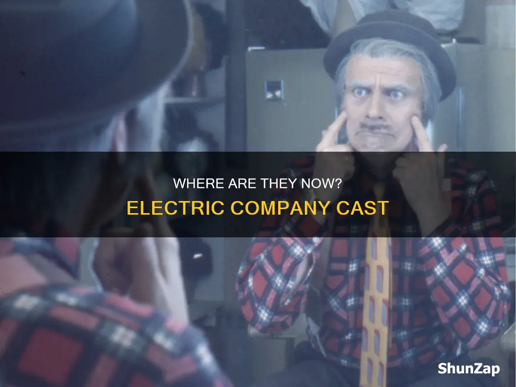 what happened to the cast of electric company