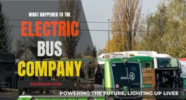 Electric Bus Company's Fate: A Journey's End or a New Beginning?