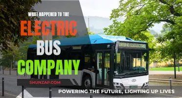 The Electric Bus Company: Where Did It Go Wrong?