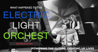 The Electric Light Orchestra: What Happened to Them?
