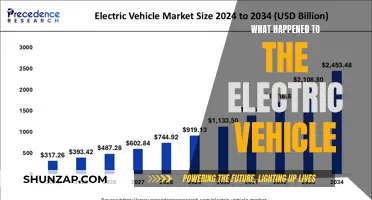 Electric Vehicle Evolution: From Niche to Mainstream Revolution