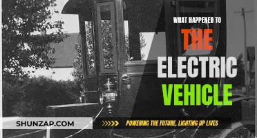 The Future of Electric Vehicles: What Went Wrong?