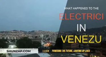 The Venezuelan Blackout: What Caused the Power Outage?