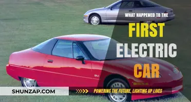 The Rise and Fall of the First Electric Car: A Forgotten History