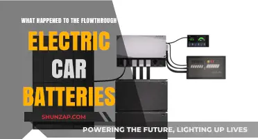 The Disappearance of Flowthrough Electric Car Batteries: What Happened?