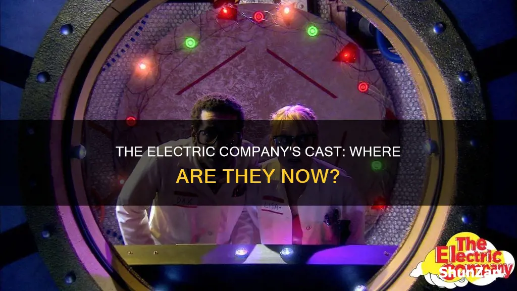 what happened to the kids from the electric company