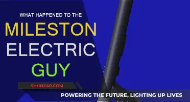 The Mystery of Milestone Electric Guy's Disappearance