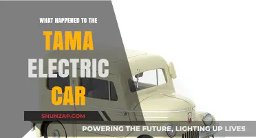 The Rise and Fall of the Tama Electric Car: What Happened?