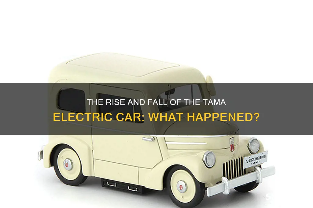 what happened to the tama electric car