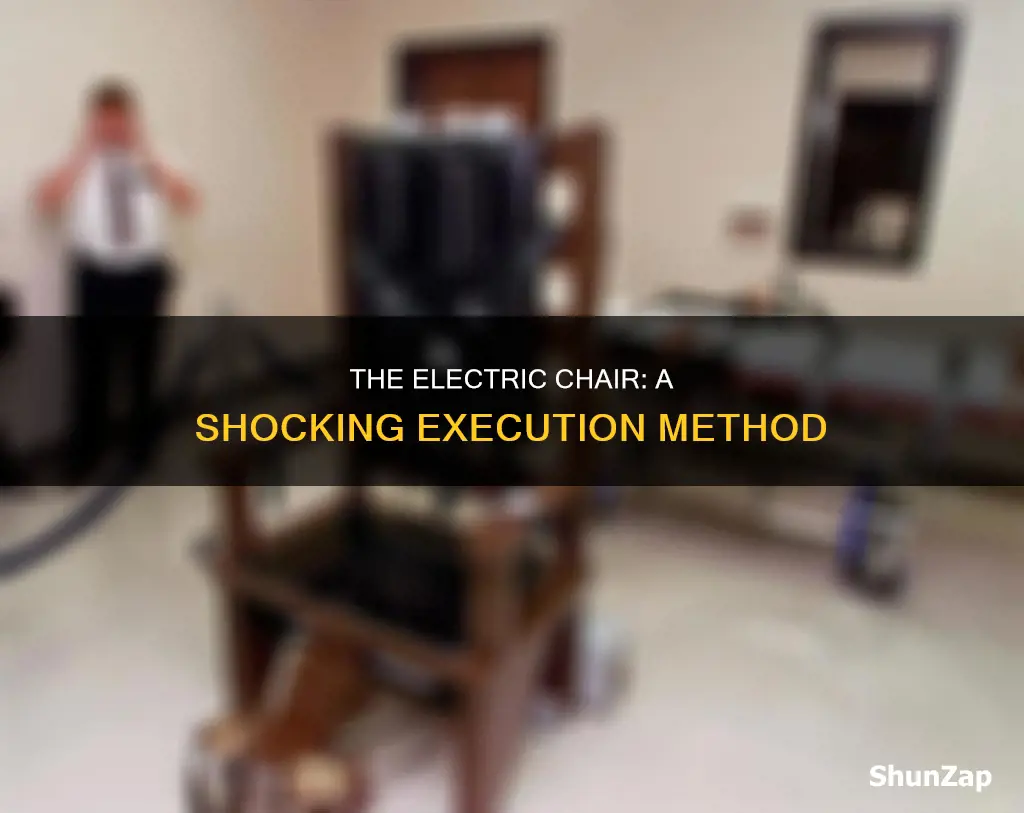 what happens during execution by electric chair