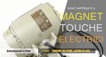 Magnets Touching Electricity: A Spark of Chaos?