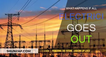 The World Without Electricity: A Dark Future