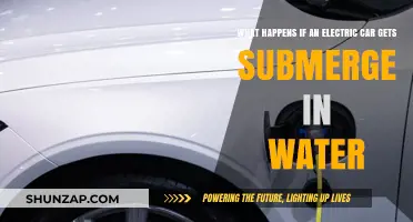 Electric Cars Underwater: Safety Risks and Recovery After Submersion
