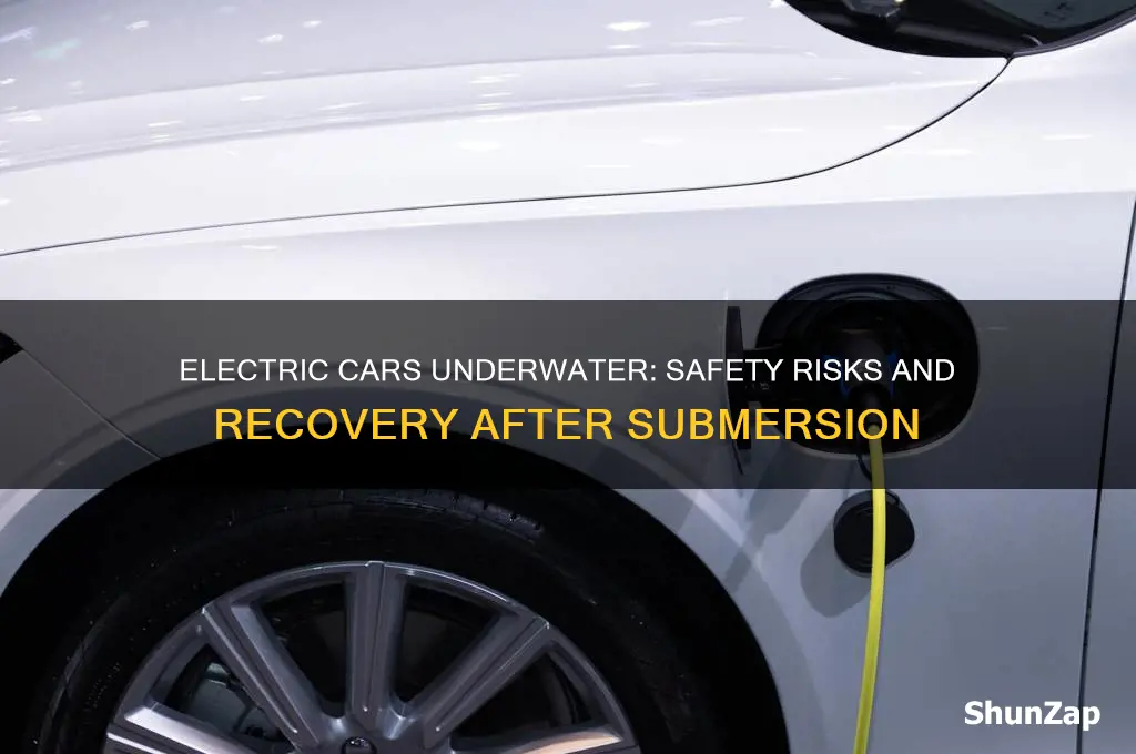 what happens if an electric car gets submerged in water