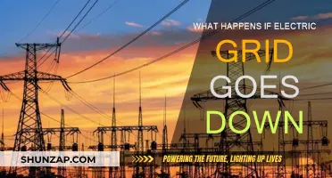 The Impact of a Power Grid Collapse