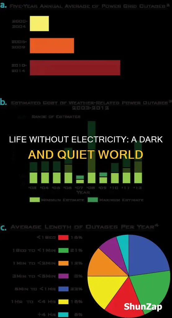 what happens if electricity is not available