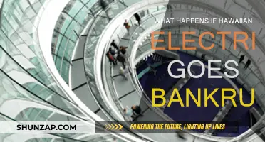 Hawaii's Energy Future: Hawaiian Electric's Bankruptcy Scenarios