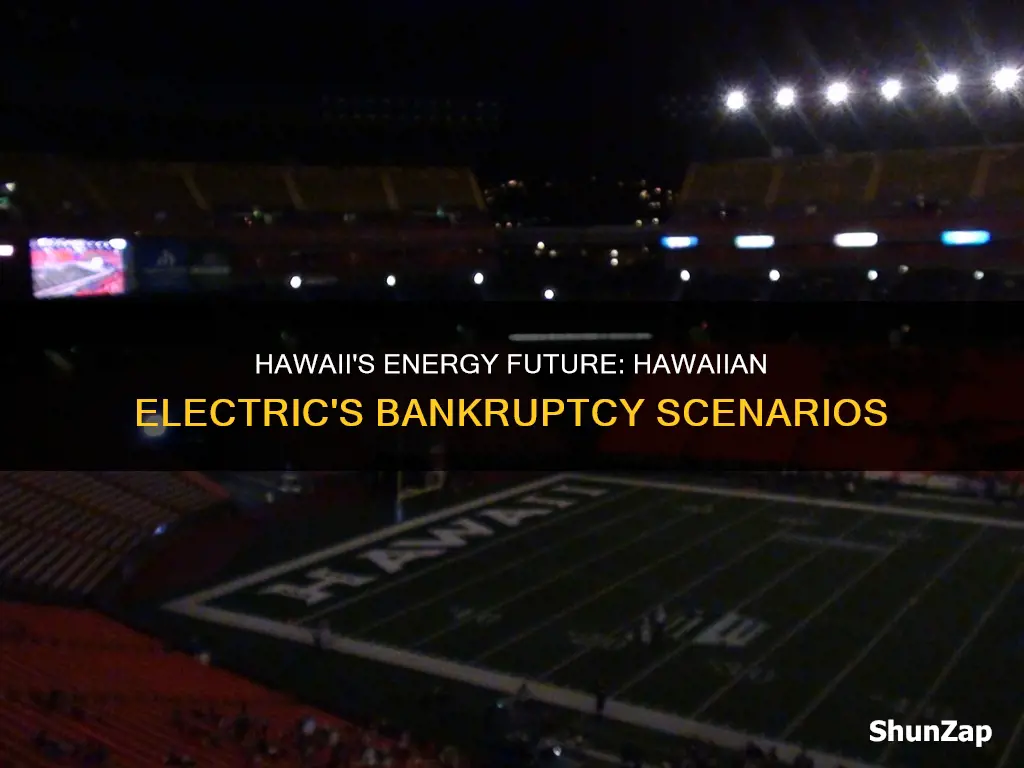 what happens if hawaiian electric goes bankrupt