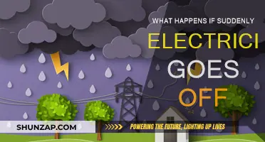Blackout Blues: Life Without Electricity