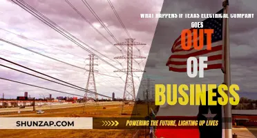 Texas Electrical Company's Demise: Impact and Aftermath