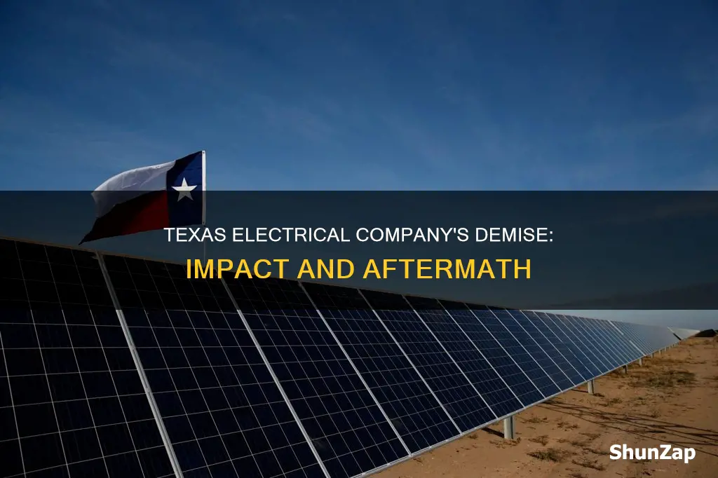 what happens if texas electrical company goes out of business