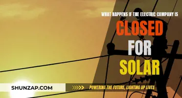 Solar Power: Electric Company's Demise or Opportunity?
