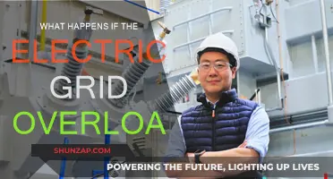 Electric Grid Overload: Understanding the Potential Fallout